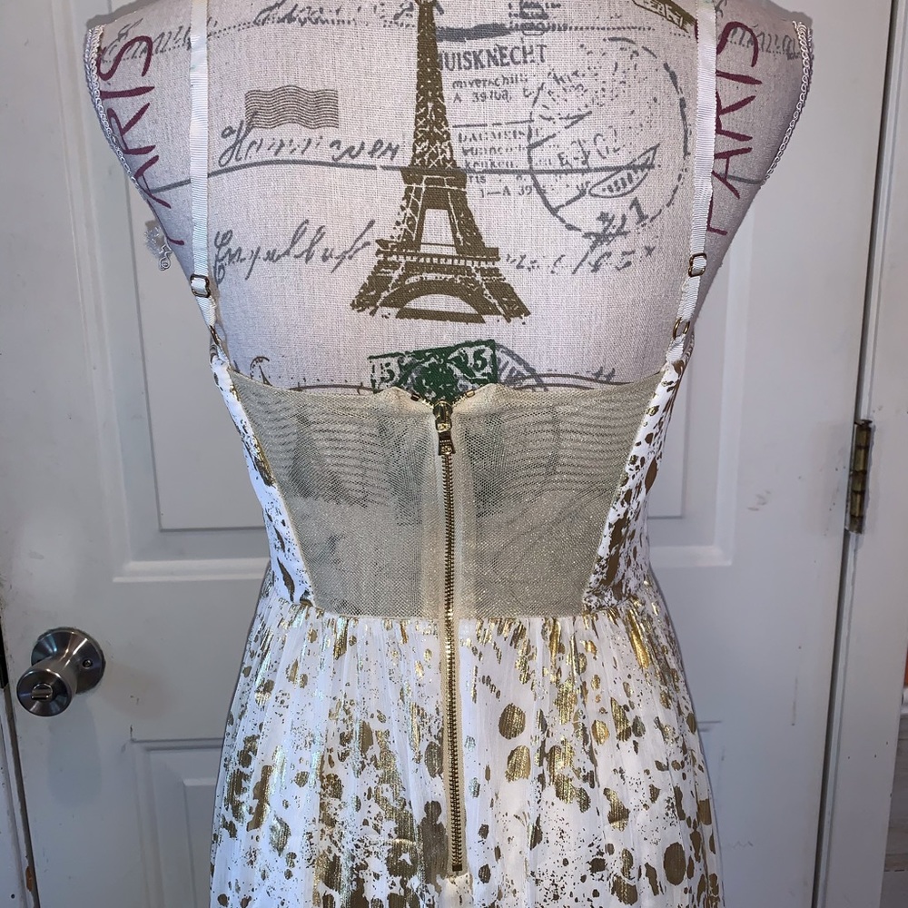 Stunning Alice + Olivia Yarra Bustier Gown - Picture 6 of 7